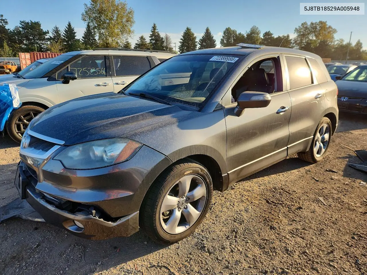 2009 Acura Rdx Technology VIN 5J8TB18529A005948 фото 1