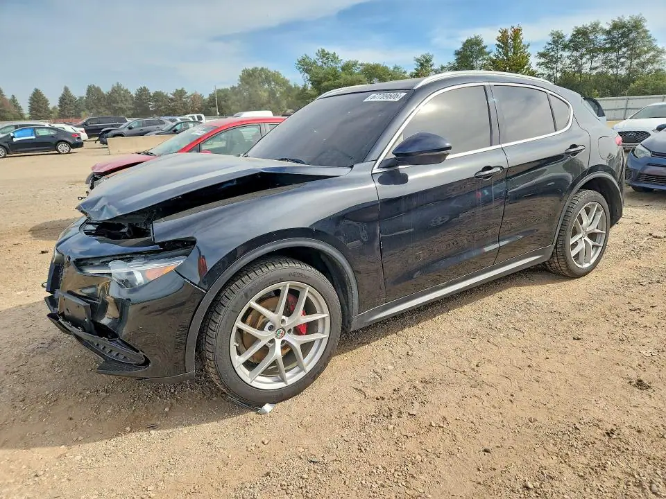 ZASPAKBN1K7C29899 Alfa Romeo Stelvio 2019 — повреждение Передняя часть, фото до ремонта