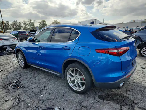 2019 Alfa Romeo Stelvio VIN ZASPAJAN0K7C58032 фото 2