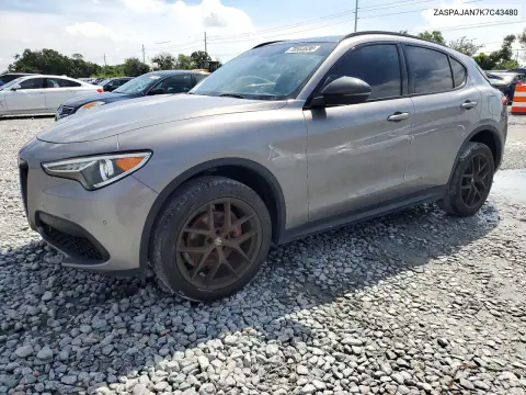 ZASPAJAN7K7C43480 — 2019 Alfa Romeo Stelvio, Задняя часть, фото до ремонта