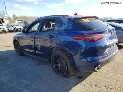 ZASPAKBN7M7D20775 — 2021 Alfa Romeo Stelvio, фото 2 с аукциона Copart 22.10.2026, Биологическая или химическая опасность
