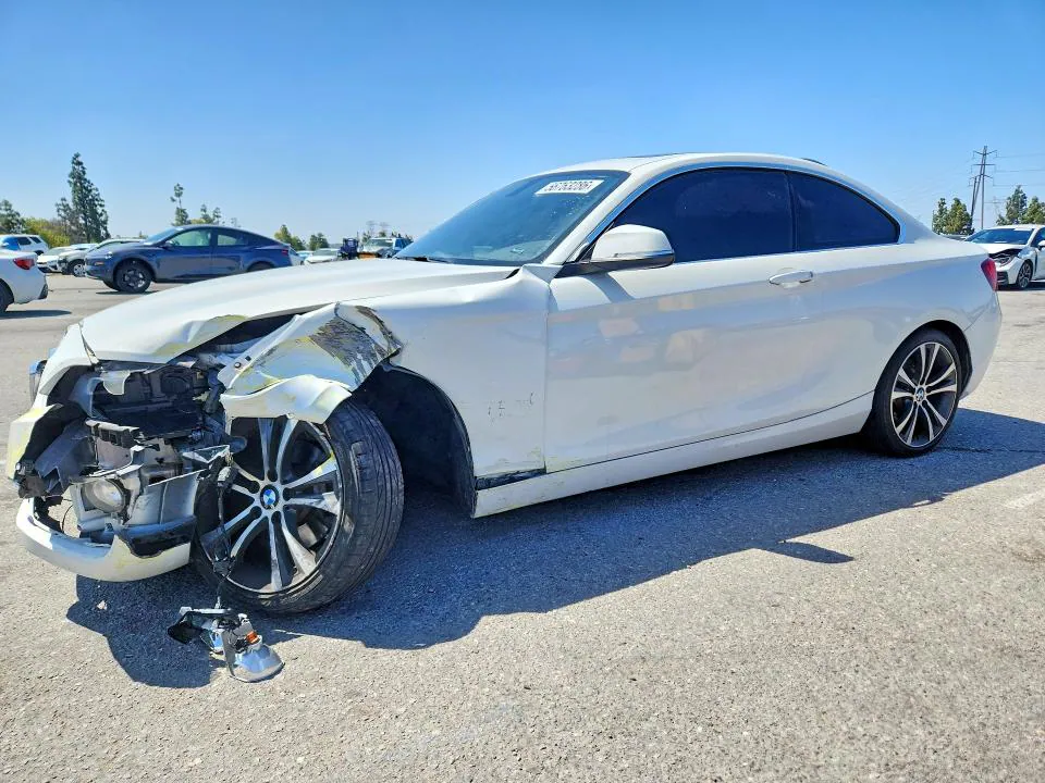 2016 BMW 228 VIN WBA1F9C55GV546317 фото 1