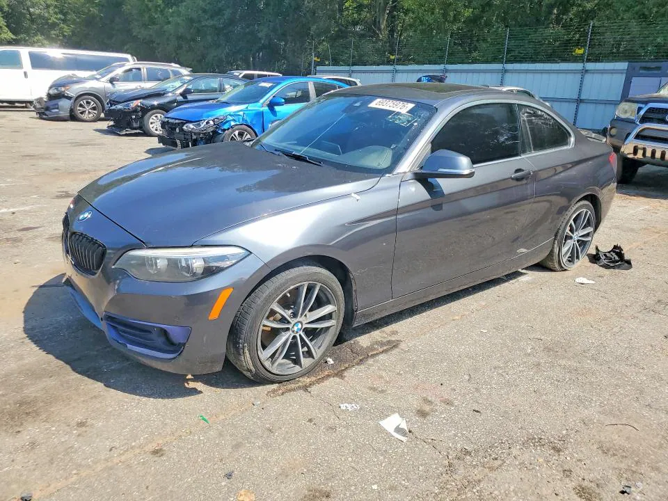2019 BMW 230I VIN WBA2J1C51KVD10134 фото 1