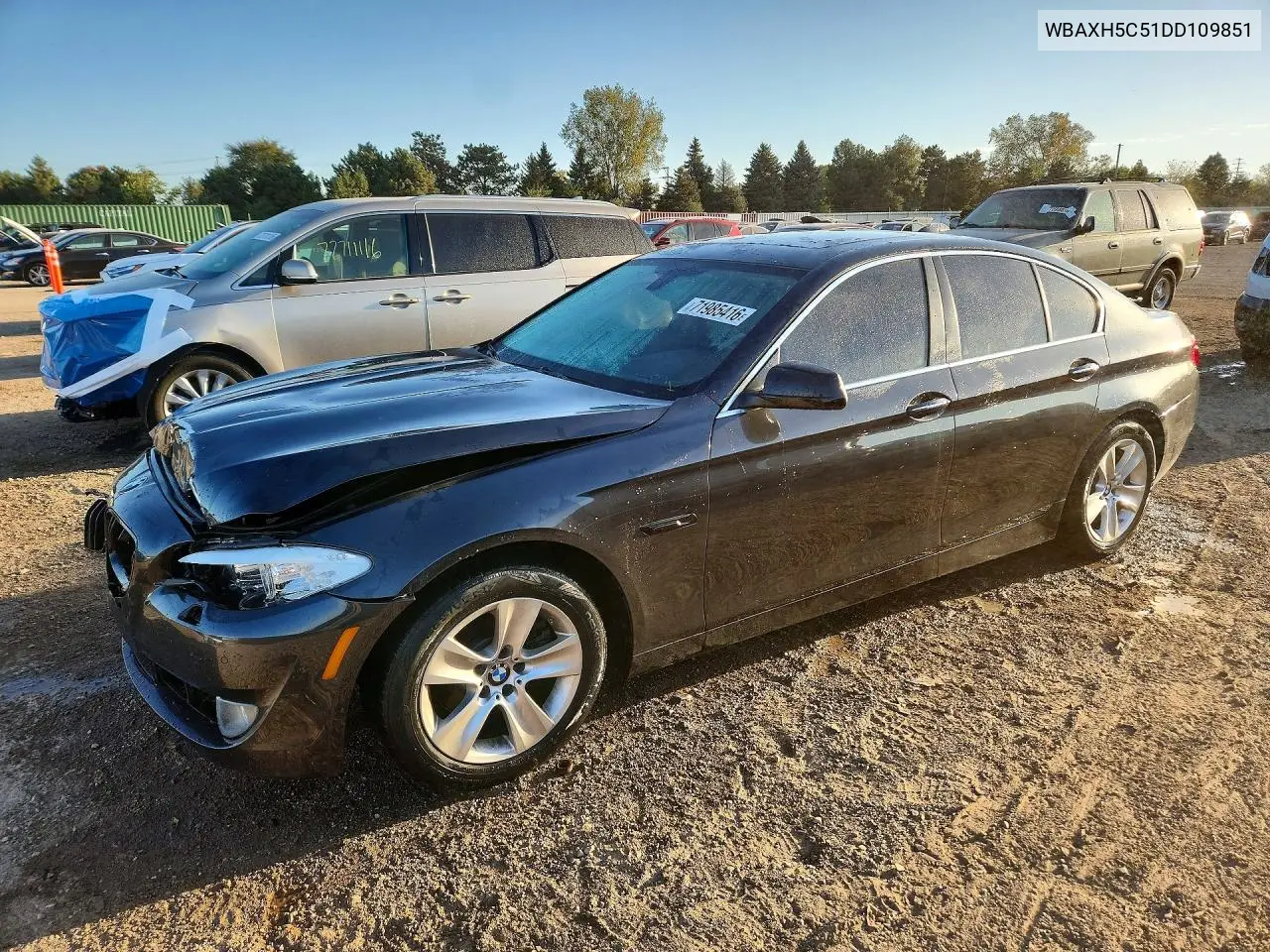 WBAXH5C51DD109851 BMW 5ER 2013 — повреждение Передняя часть, фото до ремонта
