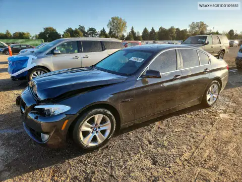 WBAXH5C51DD109851 — 2013 BMW 5ER, Передняя часть, фото до ремонта