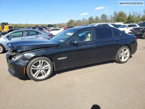 WBAYF8C57DDE59239 — 2013 BMW 7ER, Передняя часть, фото до ремонта