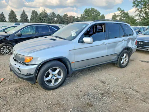 5UXFA53593LV74481 — 2003 BMW X5, Боковая часть (Side), фото до ремонта