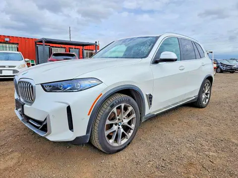 5UX13EU05R9V40227 — 2024 BMW X5, Задняя часть (Rear End), фото до ремонта