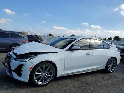 1G6DP5RK1R0105208 — 2024 Cadillac CT5, Передняя часть (Front End), фото до ремонта