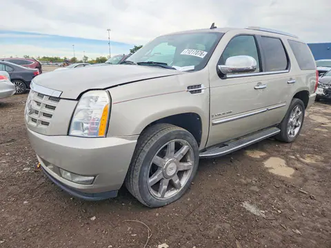1GYFK23239R289018 — 2009 Cadillac Escalade, Передняя часть (Front End), фото до ремонта