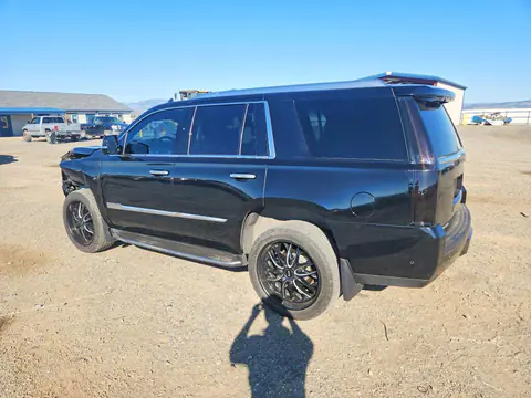 2017 Cadillac Escalade VIN 1GYS4BKJXHR163402 фото 2