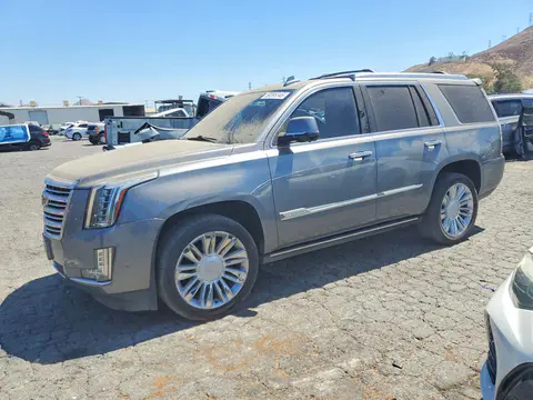 1GYS4DKJ9KR355042 — 2019 Cadillac Escalade, Боковая часть (Side), фото до ремонта
