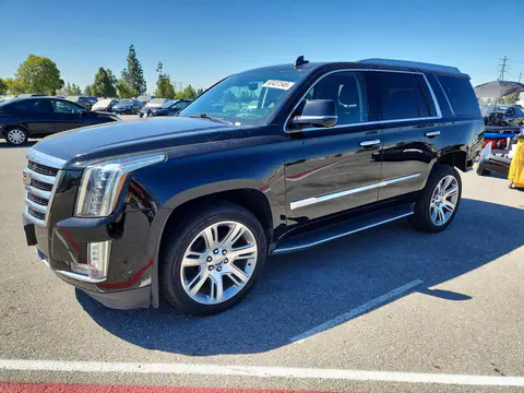 1GYS4CKJXLR148705 — 2020 Cadillac Escalade, Задняя часть (Rear End), фото до ремонта