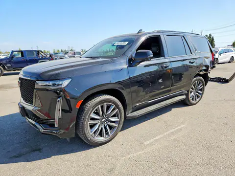 1GYS4EKL4PR186689 — 2023 Cadillac Escalade, Задняя часть (Rear End), фото до ремонта