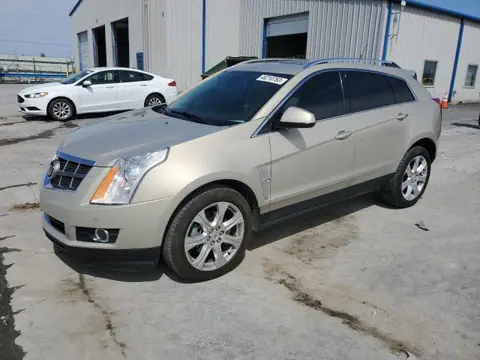 3GYFNCEY8BS507682 — 2011 Cadillac SRX Premium Collection, Передняя часть, фото до ремонта