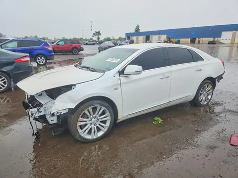 2G61M5S30K9120597 — 2019 Cadillac XTS, Передняя часть (Front End), фото до ремонта