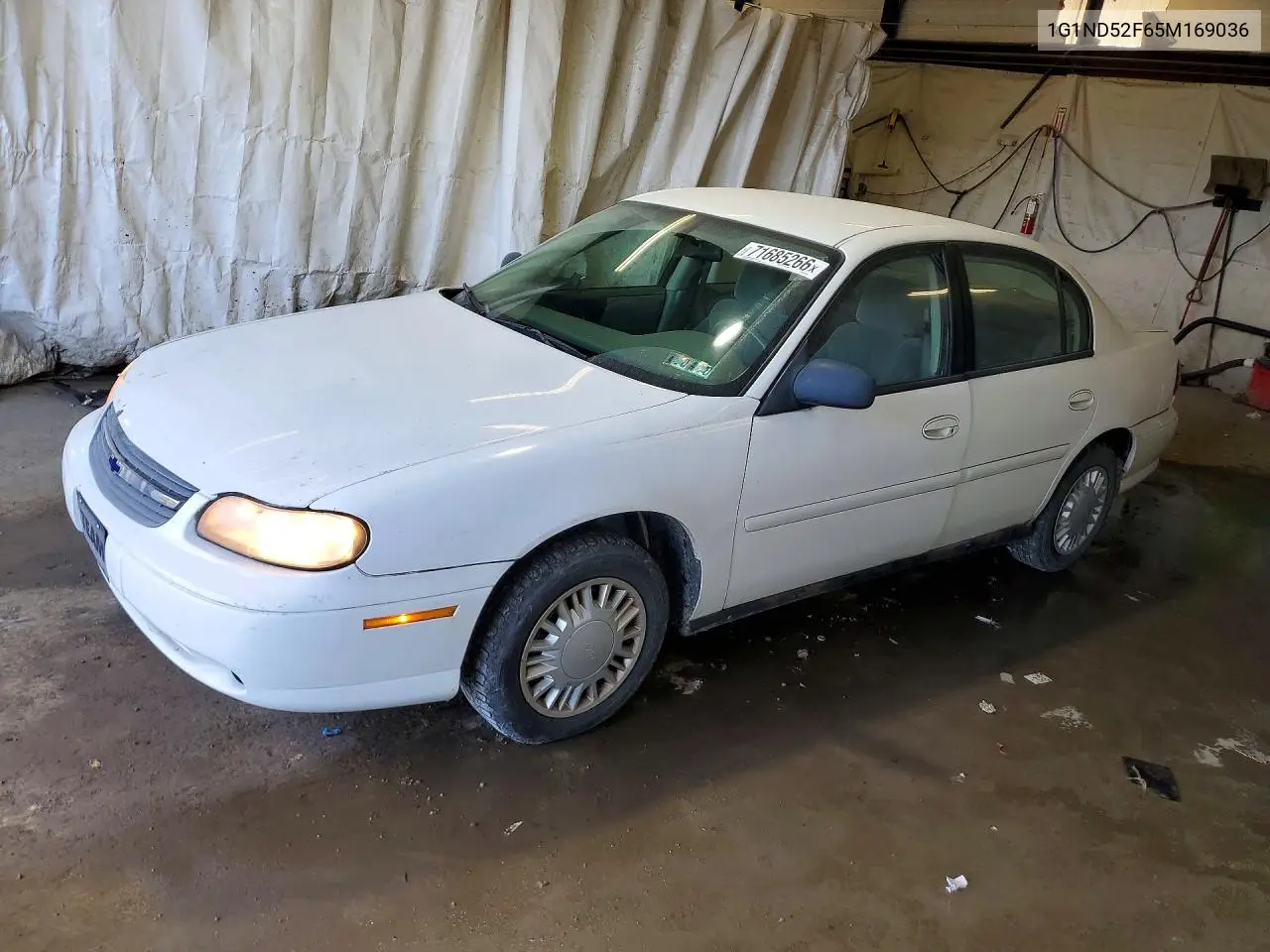 2005 Chevrolet Classic VIN 1G1ND52F65M169036 фото 1
