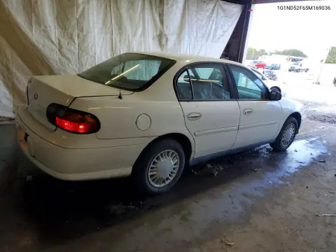 2005 Chevrolet Classic VIN 1G1ND52F65M169036 фото 3
