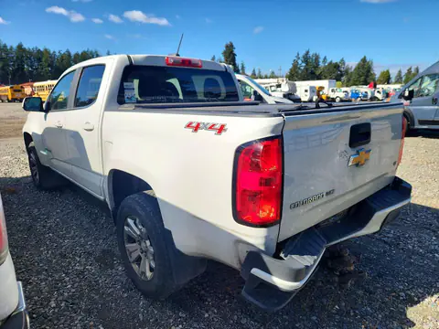 1GCGTCEN7H1162516 — 2017 Chevrolet Colorado, фото 2 с аукциона Copart 13.10.2026, Задняя часть