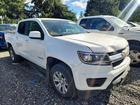 1GCGTCEN7H1162516 — 2017 Chevrolet Colorado, фото 4 с аукциона Copart 13.10.2026, Задняя часть