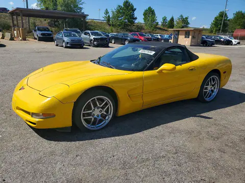 1G1YY32G325133521 — 2002 Chevrolet Corvette, Задняя часть (Rear End), фото до ремонта