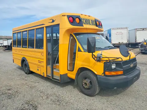 1GB3G3BG3C1137585 — 2012 Chevrolet Express CA, Мелкие вмятины и царапины (Minor Dent/Scratches), фото до ремонта