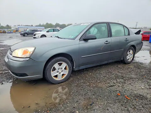 1G1ZT52815F126895 — 2005 Chevrolet Malibu, Задняя часть (Rear End), фото до ремонта