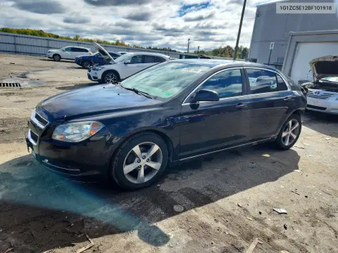1G1ZC5E12BF101918 — 2011 Chevrolet Malibu, Задняя часть, фото до ремонта