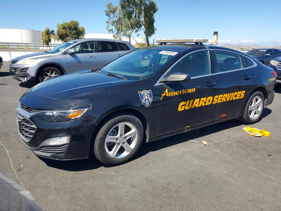 2019 Chevrolet Malibu VIN 1G1ZB5ST1KF214381 фото 1