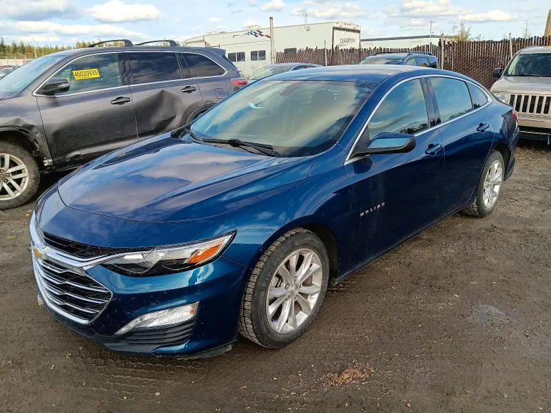 2019 Chevrolet Malibu VIN 1G1ZD5ST8KF214873 фото 1
