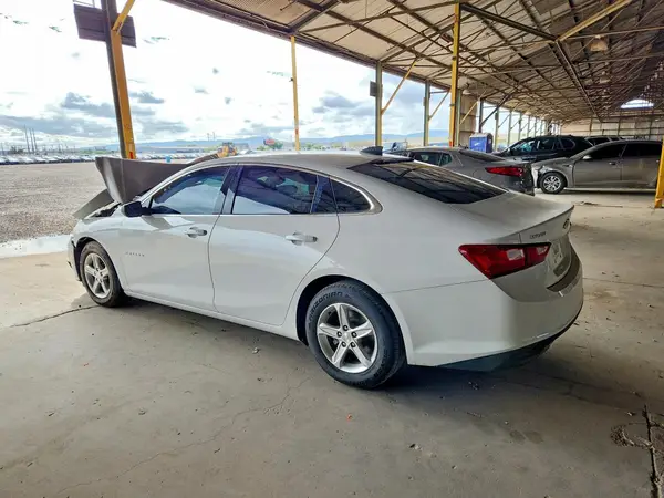 1G1ZB5ST0KF142573 — 2019 Chevrolet Malibu, фото 2 с аукциона Copart 30.09.2026, Передняя часть