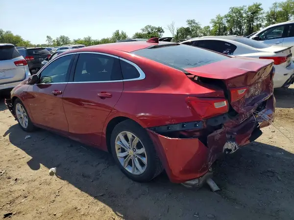 1G1ZD5ST5PF142246 — 2023 Chevrolet Malibu, фото 2 с аукциона Copart, Задняя часть