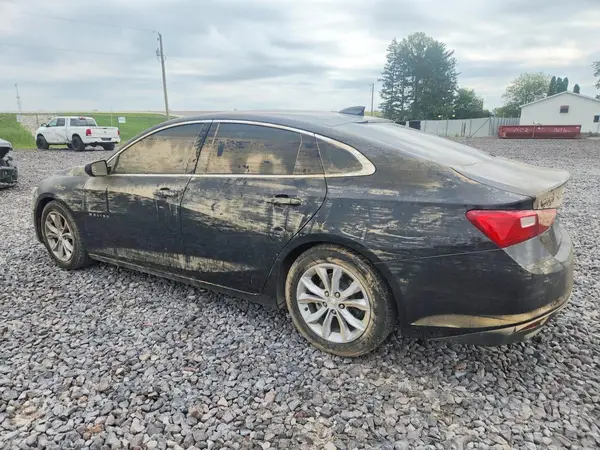 1G1ZD5ST7RF110773 — 2024 Chevrolet Malibu, фото 2 с аукциона Copart 13.10.2026, Подтопление