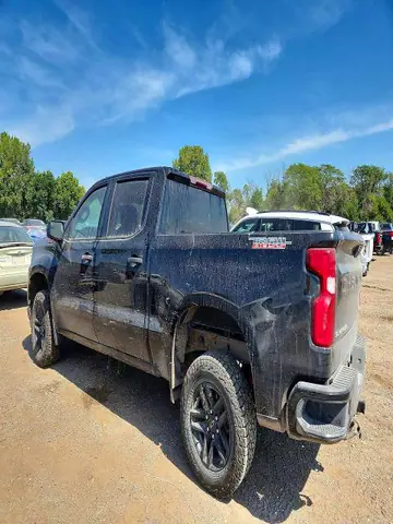2020 CHEVROLET SILVERADO VIN 1GCPYCEF8LZ164621 фото 2