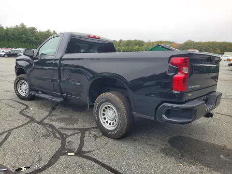 2025 Chevrolet Silverado C1500 VIN 3GCNAAEDXSG210785 фото 2