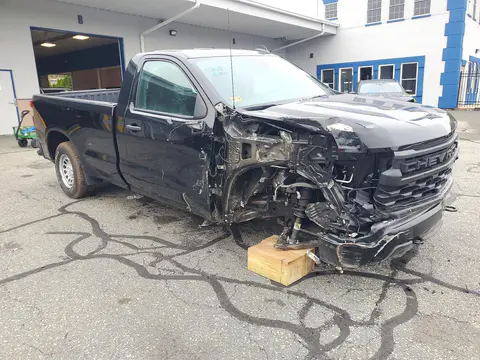 2025 Chevrolet Silverado C1500 VIN 3GCNAAEDXSG210785 фото 4