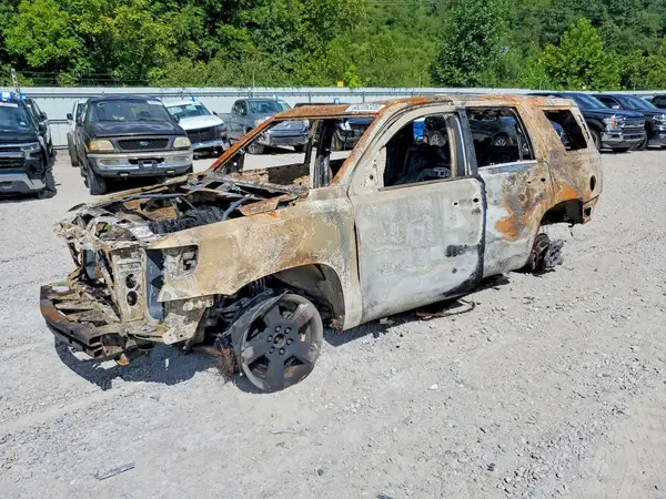 1GNSKBKC4GR473600 — 2016 Chevrolet Tahoe, Пожар (Burn), фото до ремонта