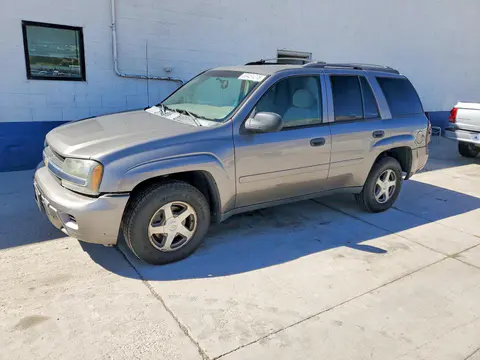 1GNDT13S962220771 — 2006 Chevrolet TrailBlazer, Боковая часть (Side), фото до ремонта