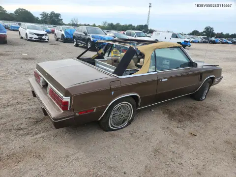 1984 Dodge 600 VIN 1B3BV55G2EG116667 фото 3