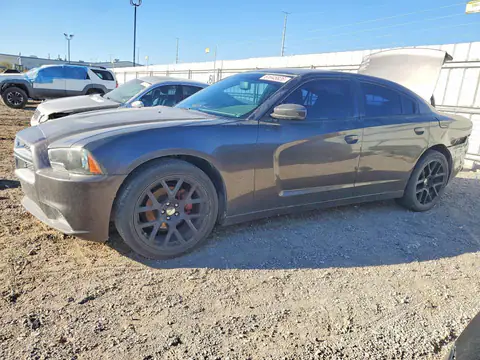 2C3CDXBG2EH339144 — 2014 Dodge Charger, Задняя часть (Rear End), фото до ремонта