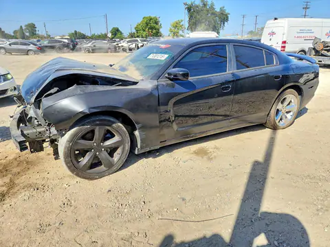 2C3CDXCT7EH343881 — 2014 Dodge Charger, Передняя часть (Front End), фото до ремонта