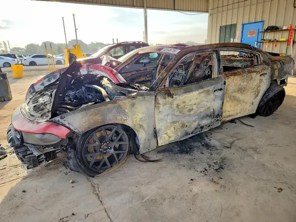 2C3CDXGJ7KH519798 — 2019 Dodge Charger, Пожар (Burn), фото до ремонта
