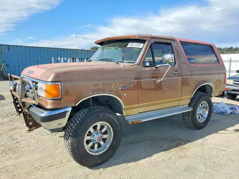 1FMEU15N4KLA82395 — 1989 Ford Bronco, Мелкие вмятины и царапины (Minor Dent/Scratches), фото до ремонта