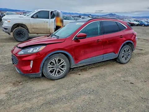 1FMCU9H60NUB87041 — 2022 Ford Escape SEL, Передняя часть (Front End), фото до ремонта