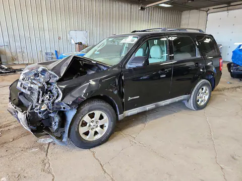 1FMCU49329KB25620 — 2009 Ford Escape, Передняя часть (Front End), фото до ремонта
