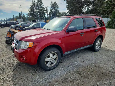 1FMCU9D72AKB09445 — 2010 Ford Escape, Передняя часть (Front End), фото до ремонта