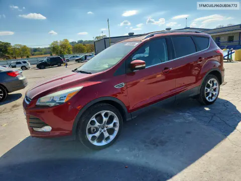 2013 Ford Escape Titanium VIN 1FMCU0J96DUB36772 фото 1