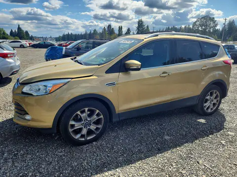 1FMCU9J92EUE46102 — 2014 Ford Escape, Задняя часть (Rear End), фото до ремонта