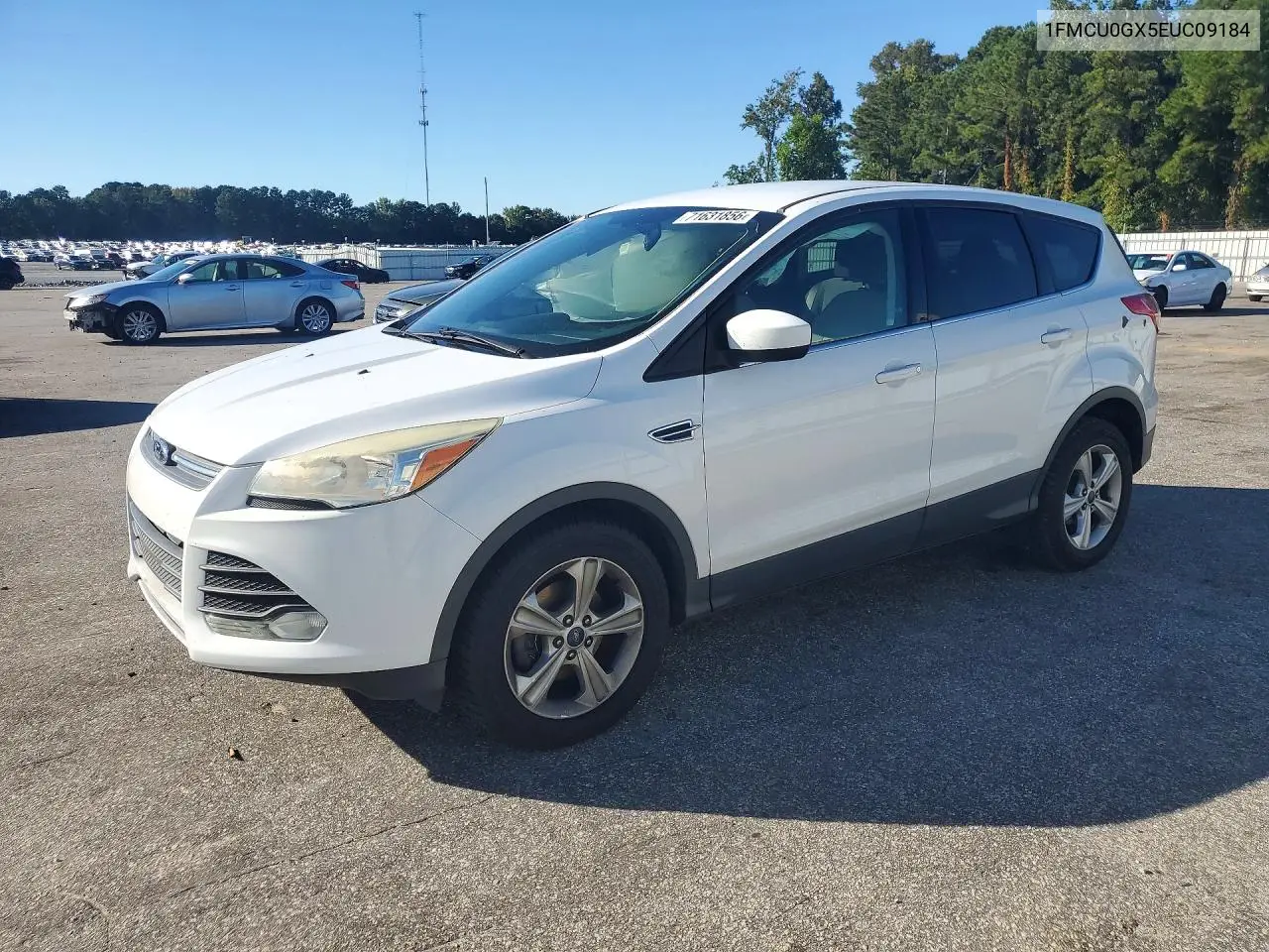 2014 Ford Escape Se VIN 1FMCU0GX5EUC09184 фото 1