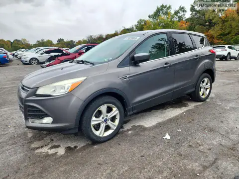 1FMCU9G91EUA07352 — 2014 Ford Escape, Мелкие вмятины и царапины, фото до ремонта